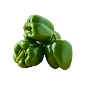 Capsicum