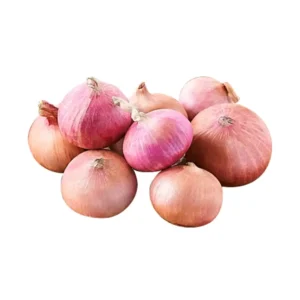 Onion