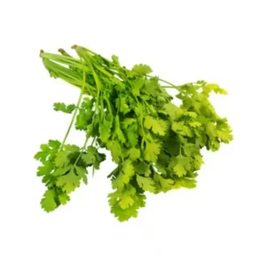 Coriander-Dhaniya
