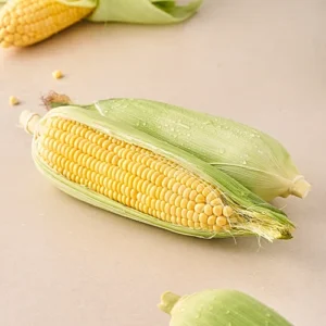 Sweet Corn
