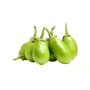 Green Brinjal